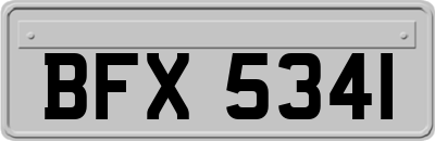 BFX5341