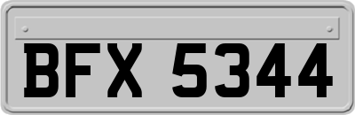 BFX5344