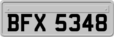 BFX5348