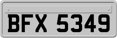 BFX5349