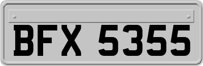 BFX5355