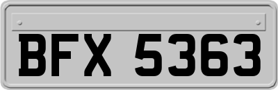 BFX5363