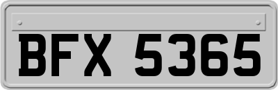 BFX5365
