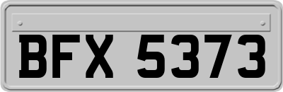 BFX5373