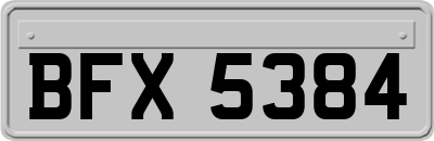 BFX5384