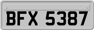 BFX5387