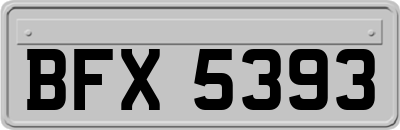 BFX5393