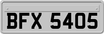 BFX5405