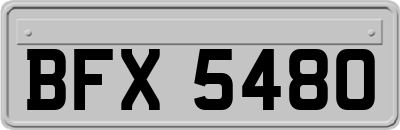 BFX5480