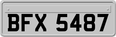 BFX5487