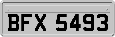 BFX5493