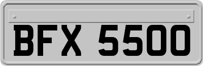 BFX5500