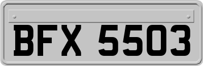 BFX5503