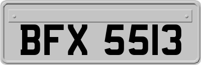 BFX5513