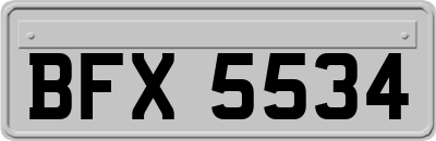 BFX5534
