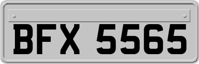 BFX5565