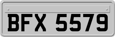 BFX5579