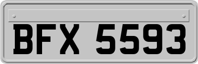 BFX5593