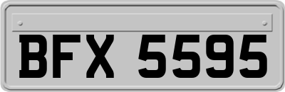 BFX5595