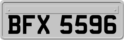 BFX5596