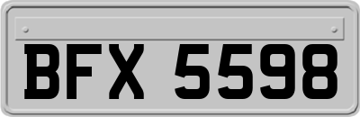 BFX5598