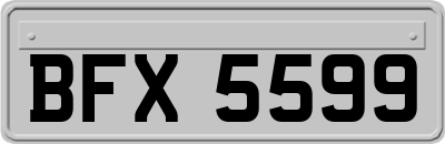 BFX5599