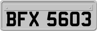 BFX5603