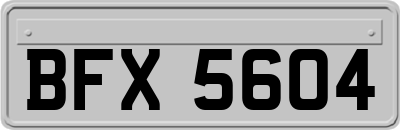 BFX5604