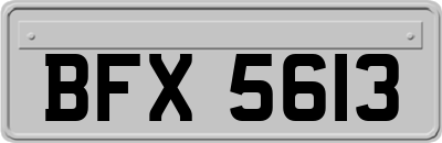 BFX5613