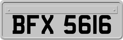 BFX5616
