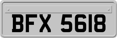 BFX5618