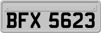 BFX5623
