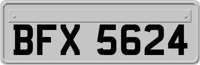 BFX5624