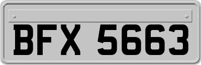 BFX5663