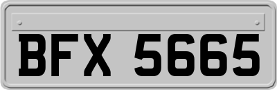 BFX5665