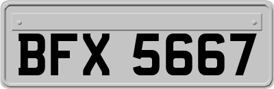 BFX5667