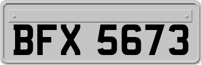 BFX5673