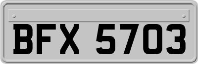 BFX5703