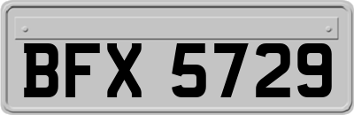 BFX5729