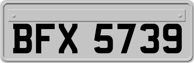 BFX5739