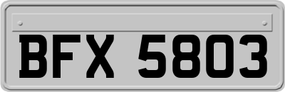 BFX5803