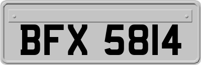 BFX5814