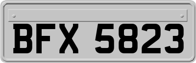 BFX5823