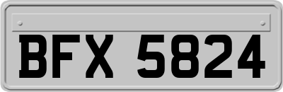 BFX5824