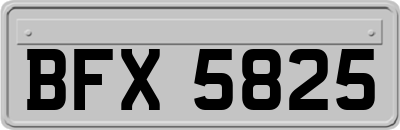 BFX5825