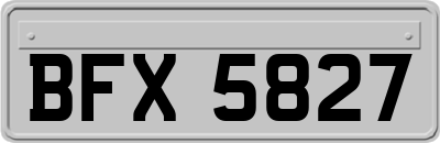 BFX5827