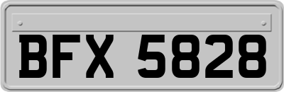 BFX5828