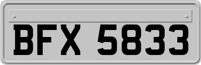 BFX5833
