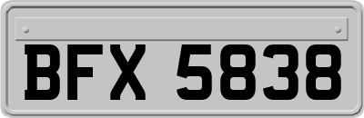 BFX5838