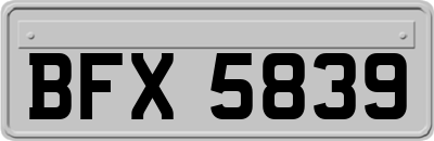 BFX5839